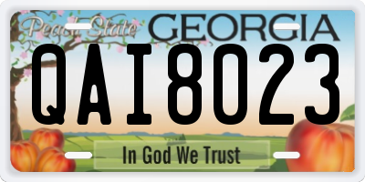 GA license plate QAI8023