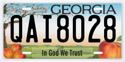 GA license plate QAI8028