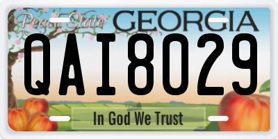 GA license plate QAI8029