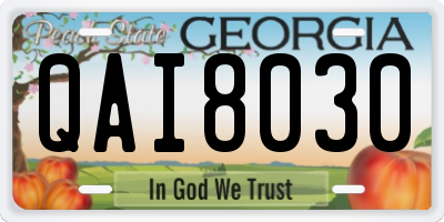 GA license plate QAI8030