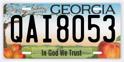 GA license plate QAI8053