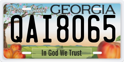 GA license plate QAI8065