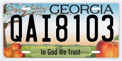 GA license plate QAI8103