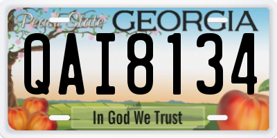 GA license plate QAI8134