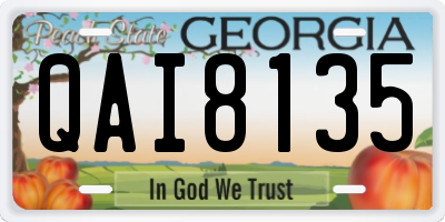 GA license plate QAI8135