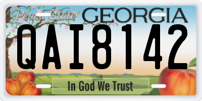 GA license plate QAI8142