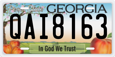 GA license plate QAI8163