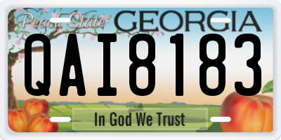GA license plate QAI8183