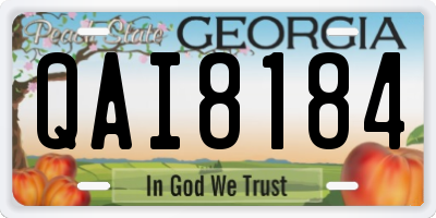 GA license plate QAI8184