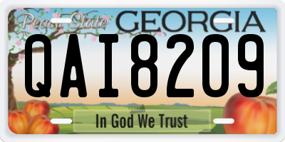 GA license plate QAI8209