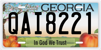 GA license plate QAI8221