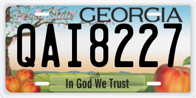 GA license plate QAI8227