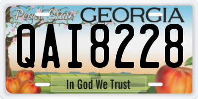 GA license plate QAI8228