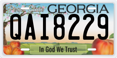 GA license plate QAI8229