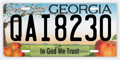 GA license plate QAI8230