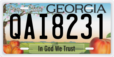 GA license plate QAI8231