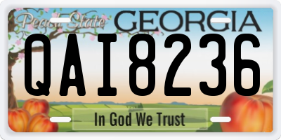 GA license plate QAI8236