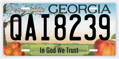 GA license plate QAI8239