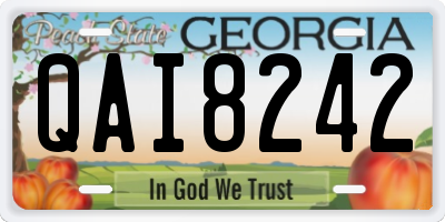 GA license plate QAI8242