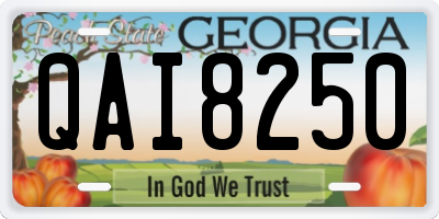 GA license plate QAI8250