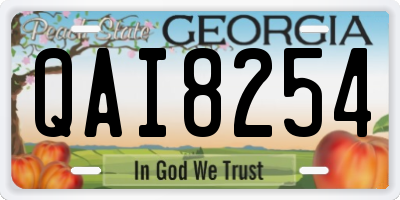 GA license plate QAI8254