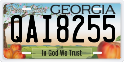 GA license plate QAI8255