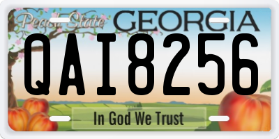GA license plate QAI8256