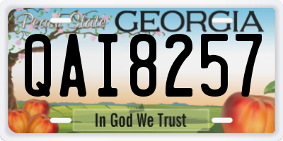 GA license plate QAI8257