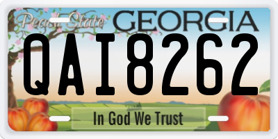 GA license plate QAI8262