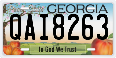 GA license plate QAI8263