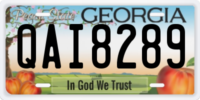 GA license plate QAI8289