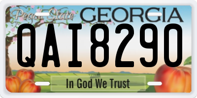 GA license plate QAI8290