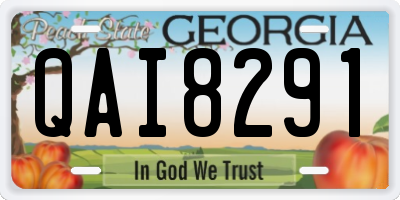 GA license plate QAI8291