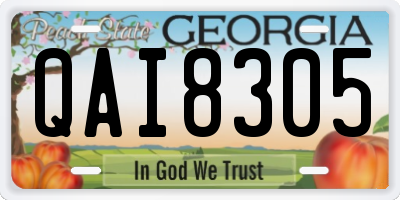 GA license plate QAI8305