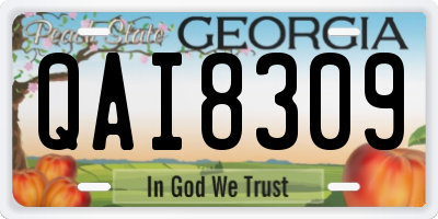 GA license plate QAI8309