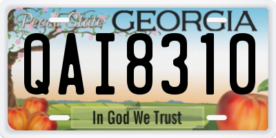 GA license plate QAI8310