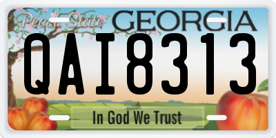 GA license plate QAI8313
