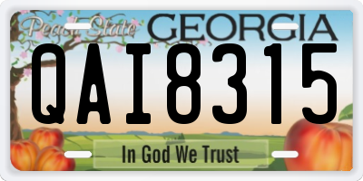 GA license plate QAI8315