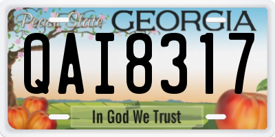 GA license plate QAI8317