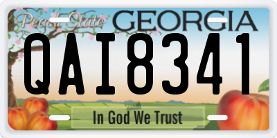 GA license plate QAI8341