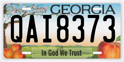 GA license plate QAI8373