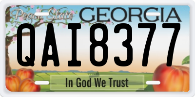 GA license plate QAI8377
