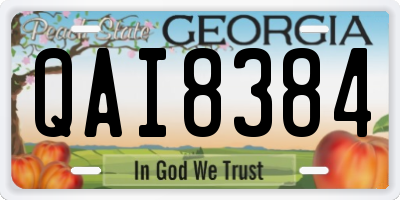 GA license plate QAI8384
