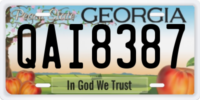 GA license plate QAI8387