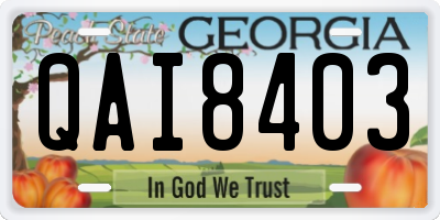 GA license plate QAI8403