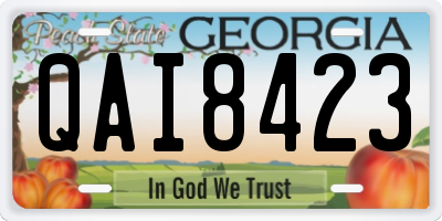 GA license plate QAI8423