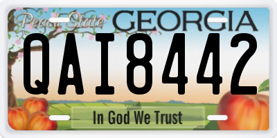 GA license plate QAI8442