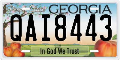 GA license plate QAI8443