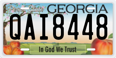 GA license plate QAI8448