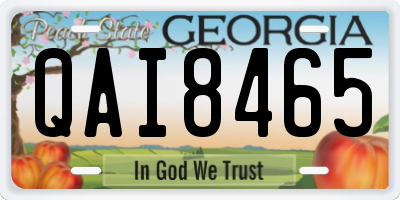 GA license plate QAI8465